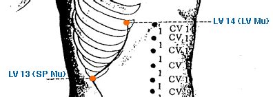 acupuncture point theory lv4